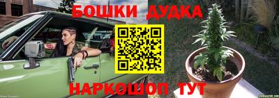 прущие грибы Лесосибирск