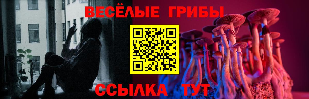 Псилоцибиновые грибы GOLDEN TEACHER Каменка