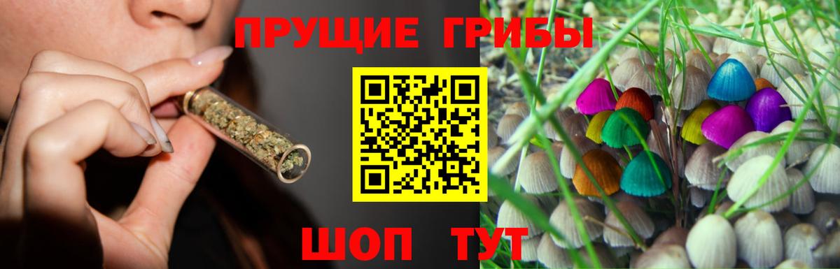 дарнет шоп  Галлюциногенные грибы Cubensis  Псилоцибиновые грибы Magic Shrooms  Вход с VPN  Каменка 
